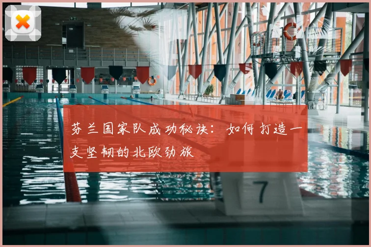 芬兰国家队成功秘诀：如何打造一支坚韧的北欧劲旅