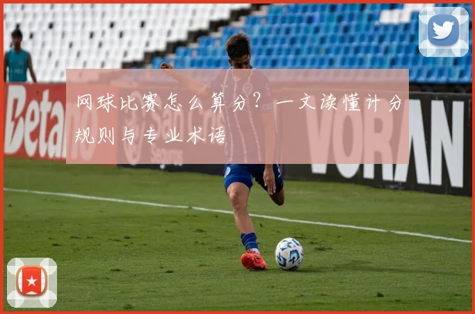 网球比赛怎么算分？一文读懂计分规则与专业术语