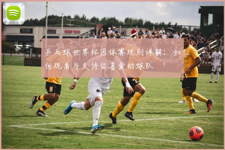 乒乓球世界杯团体赛规则详解:如何观看与支持你喜爱的球队