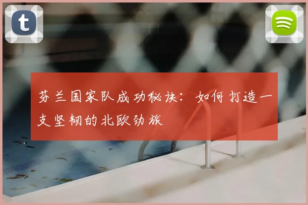 芬兰国家队成功秘诀：如何打造一支坚韧的北欧劲旅